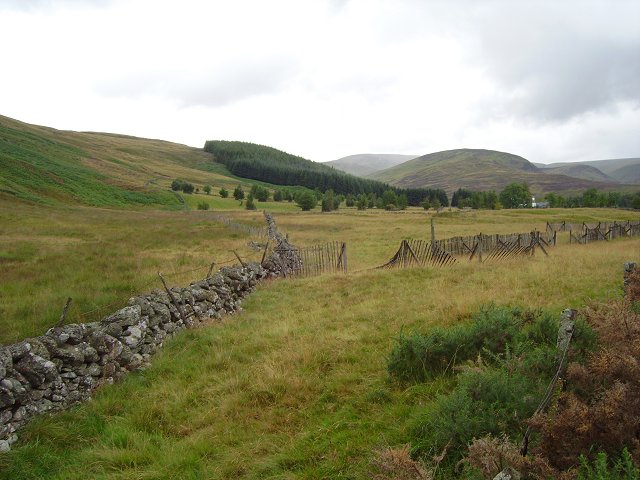snow_fencing_-_geograph-org-uk_-_223165